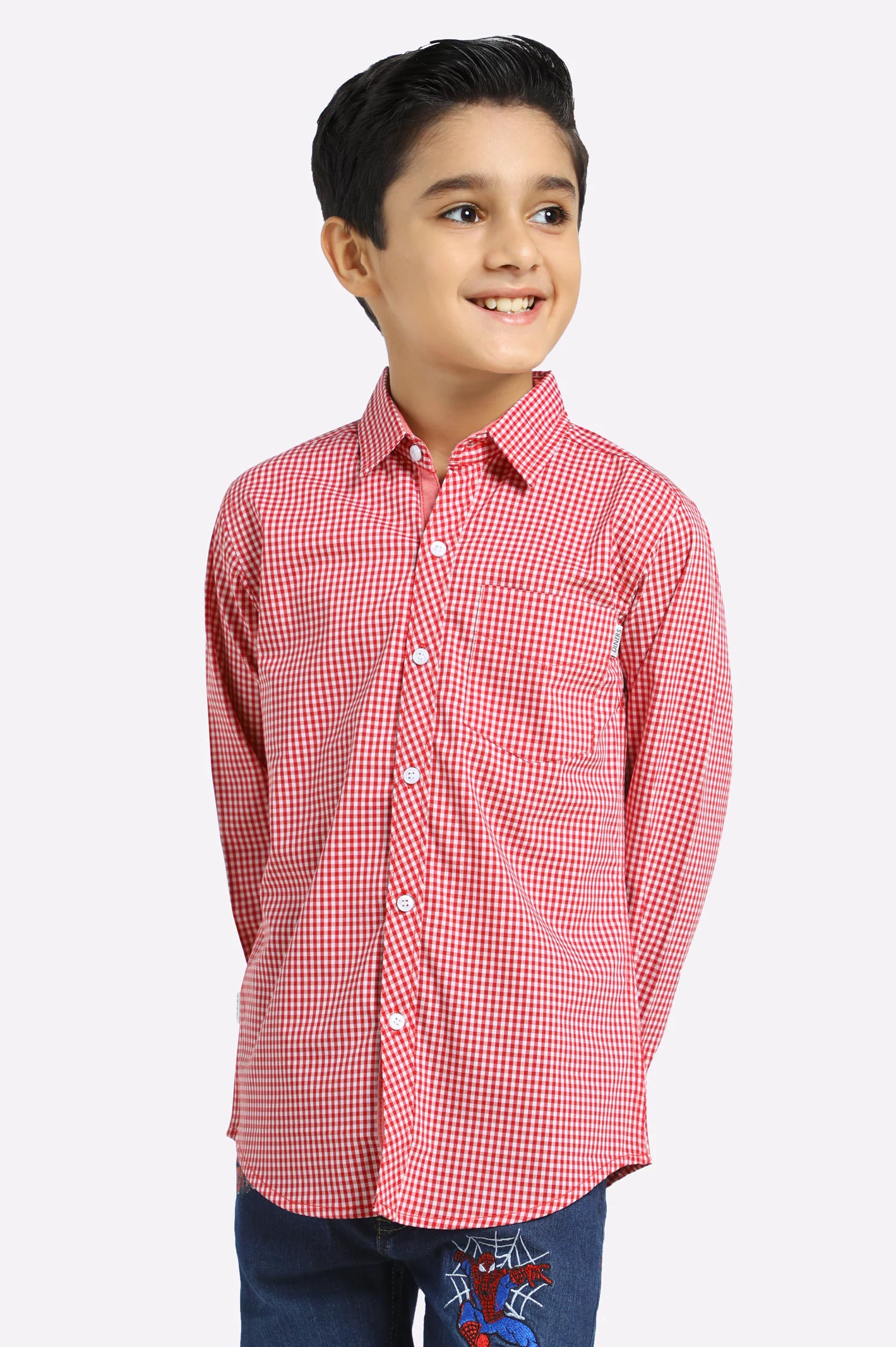 Party Button Down Shirt-Dark Red Mini Check Casual Shirt