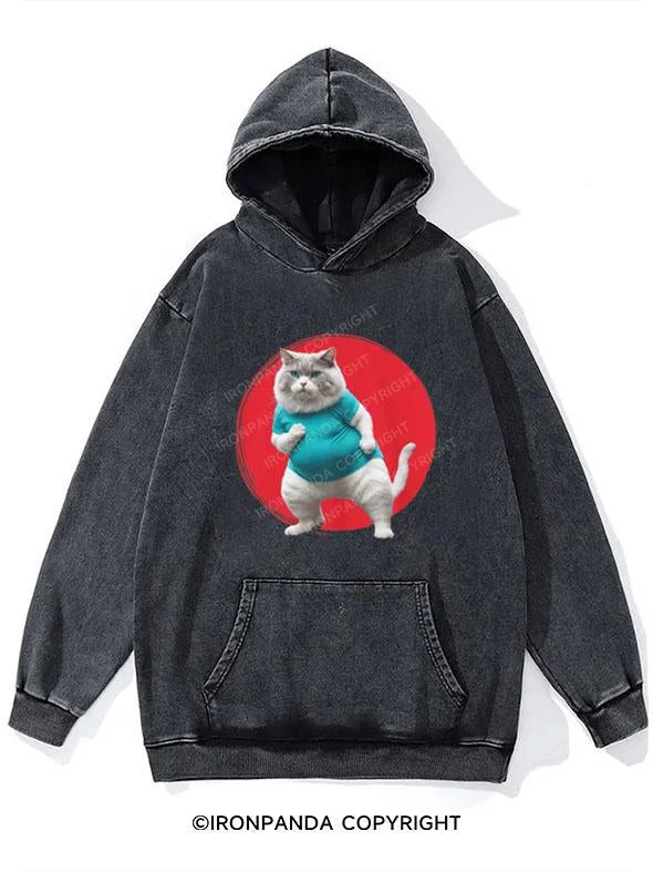 Gaming Hoodie-Fat Karate Cat Washed Gym Hoodie