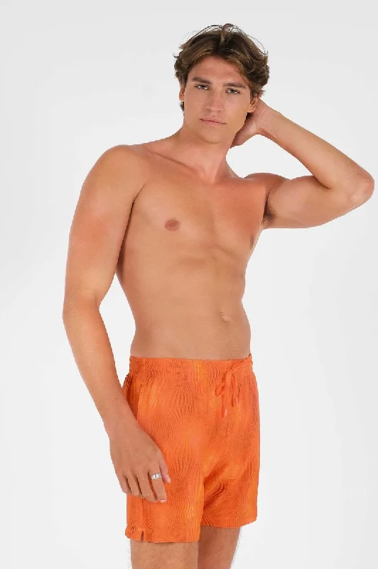 Quick Dry Shorts-Men's Swim Shorts / Venus