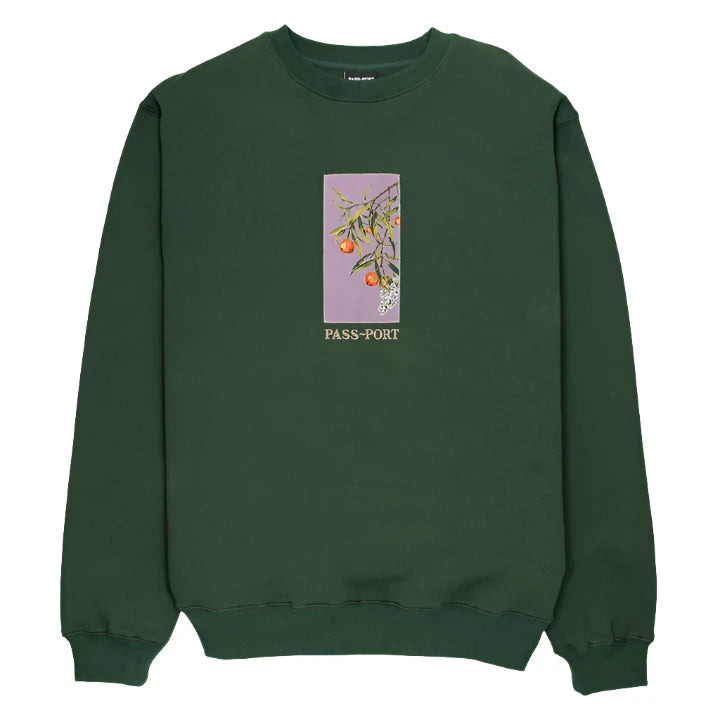 Graphic Sweatshirt-Quandong CrewNeck | Forest Green